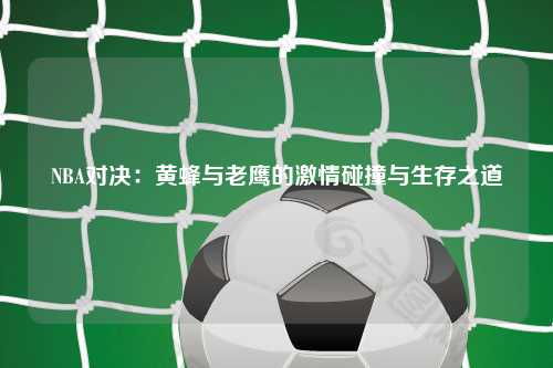 NBA对决：黄蜂与老鹰的激情碰撞与生存之道