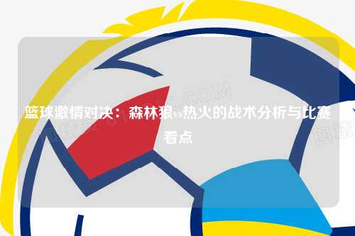 篮球激情对决：森林狼vs热火的战术分析与比赛看点