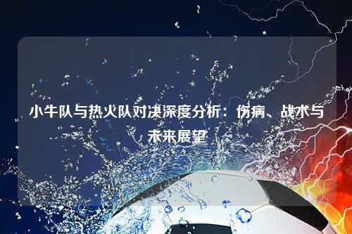 小牛队与热火队对决深度分析：伤病、战术与未来展望