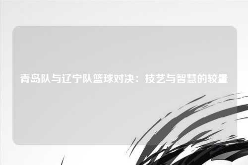 青岛队与辽宁队篮球对决：技艺与智慧的较量