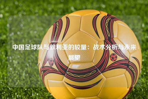 中国足球队与叙利亚的较量:战术分析与未来展望