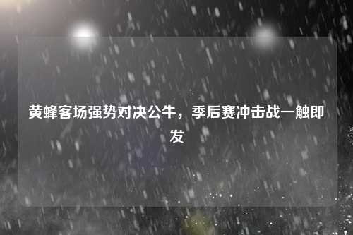 黄蜂客场强势对决公牛，季后赛冲击战一触即发